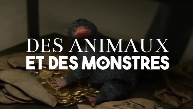 Vignette du programme télé Des animaux et des monstres