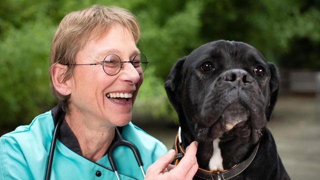 Vignette du programme télé Dr Cath & Co