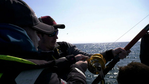 Vignette du programme télé Les géants du Pays Basque