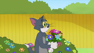 Vignette du programme télé Tom et Jerry Show (Le bouquet de l'amour) S4 (53/78)