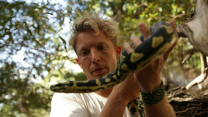 Vignette du programme télé Les aventures de Jack l'intrépide (Venin mortifère) (5/6)