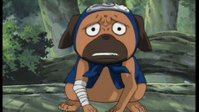 Vignette du programme télé Naruto - Saison 2