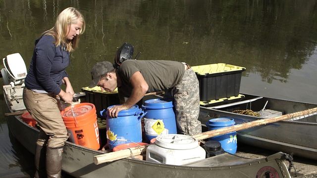 Vignette du programme télé Into The Wild : Alaska - Saison 5