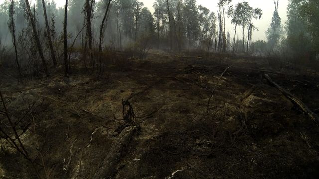 Vignette du programme télé Into The Wild : Alaska - Saison 5