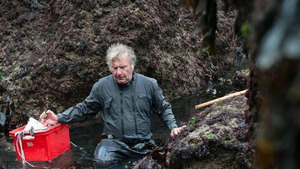 Vignette du programme télé La France en vrai