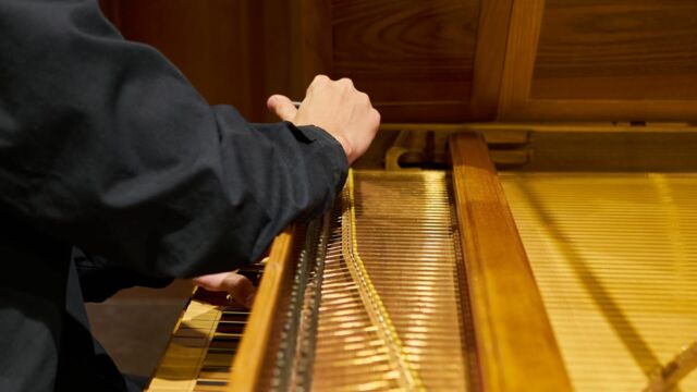 Vignette du programme télé Bach - Concerto brandebourgeois no 4