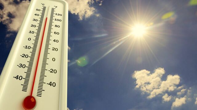 Vignette du programme télé Non-stop