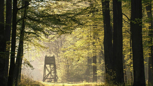 Vignette du programme télé Rencontres en terres de chasses