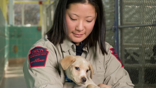 Vignette du programme télé Animal Cops Philadelphia - Saison 12