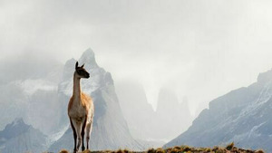 Vignette du programme télé Destination Wild (Au bout du monde) S1 (1/3)