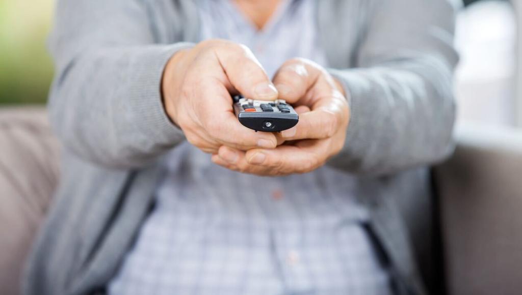 Vignette du programme télé L'héritière