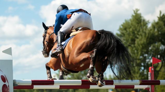 Vignette du programme télé Equitation : Global Champions League