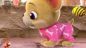 Vignette du programme télé Lucas l'araignée (Lucas et ses amis) S1 (48/77)