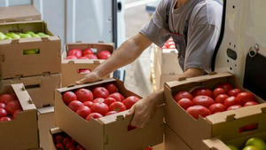 Vignette du programme télé Patron incognito S1