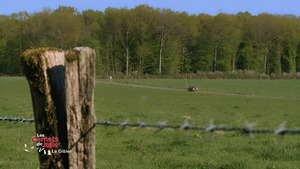 Vignette du programme télé Les carnets de Julie S4