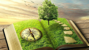 Vignette du programme télé Thomas et ses amis : Tous en avant ! (Moufette et catastrophe) S2 (20/52)