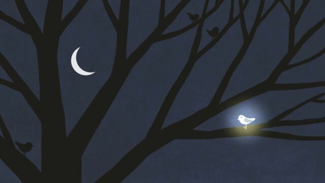 Vignette du programme télé La cabane à histoires