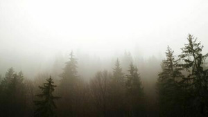 Vignette du programme télé En quête de preuves (Serpent à deux têtes et monstre momifié) S2 (7/28)