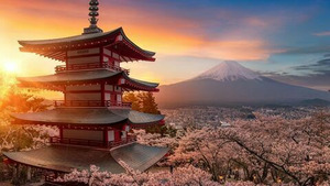 Vignette du programme télé Actu Mangas