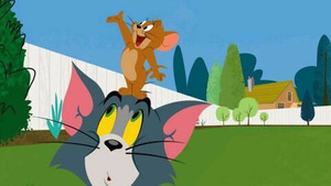 Vignette du programme télé Tom et Jerry Show (L'anniversaire de mariage) S4 (11/26)