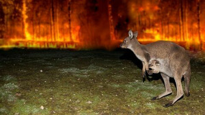 Vignette du programme télé Quand la nature se déchaîne (2018 - 2019) S1 (10/10)
