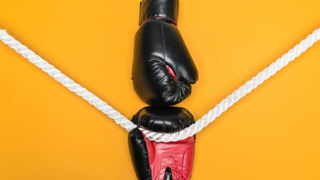 Vignette du programme télé Fight Stars