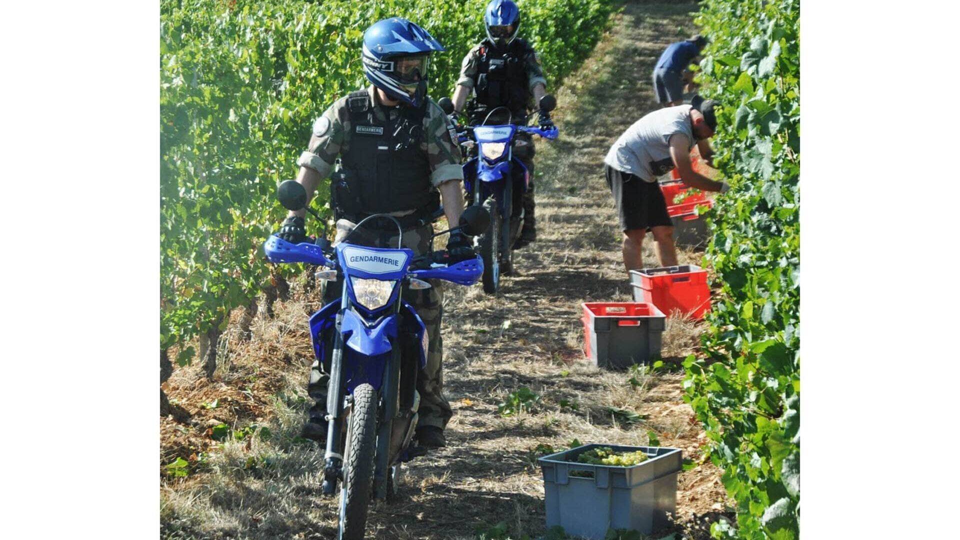 Vignette du programme télé 100 jours avec les gendarmes du Médoc