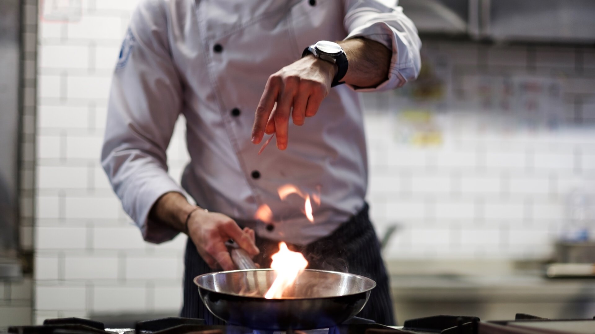 Vignette du programme télé Terres de Chefs