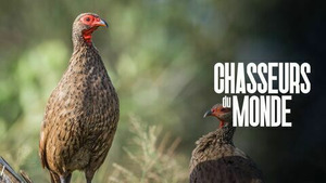Vignette du programme télé Chasseurs du monde S1 (n°17)