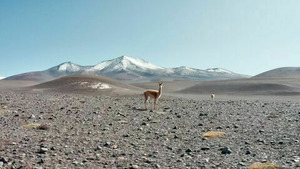 Vignette du programme télé Une goutte d'eau sur un volcan S1 (n°1)