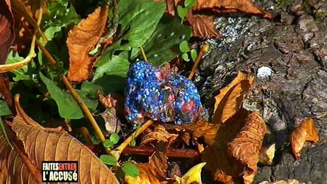 Vignette du programme télé Faites entrer l'accusé