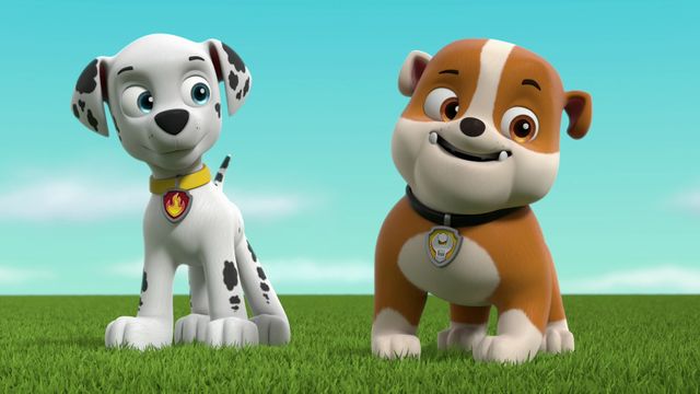 Vignette du programme télé Paw Patrol, la Pat'Patrouille - Saison 8