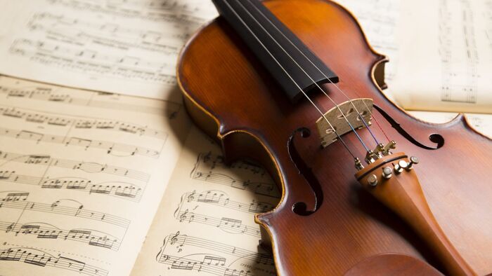 Vignette du programme télé La voix du violon