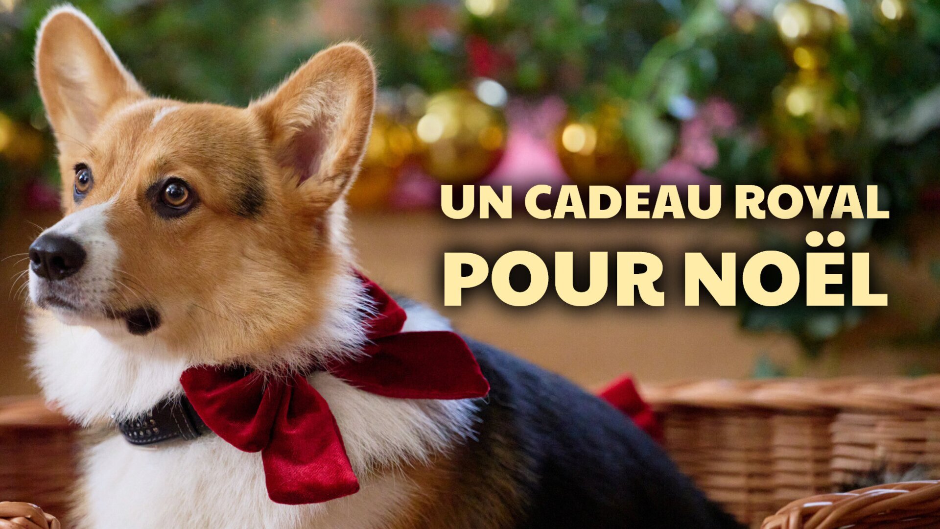 Vignette du programme télé Un cadeau royal pour Noël