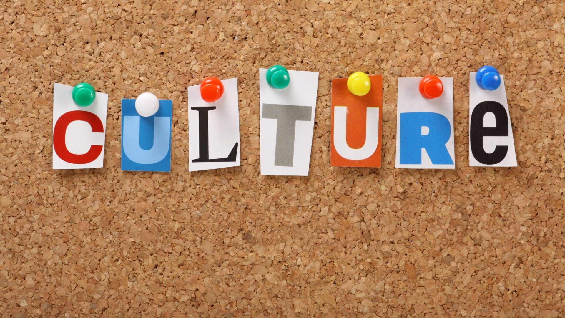 Vignette du programme télé WikIAmédia