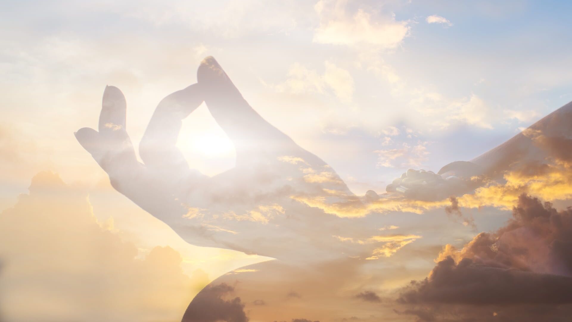 Vignette du programme télé Yoga