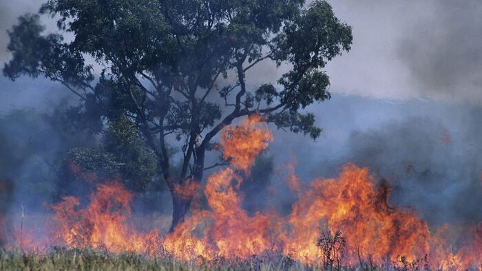 Vignette du programme télé Le Déclic