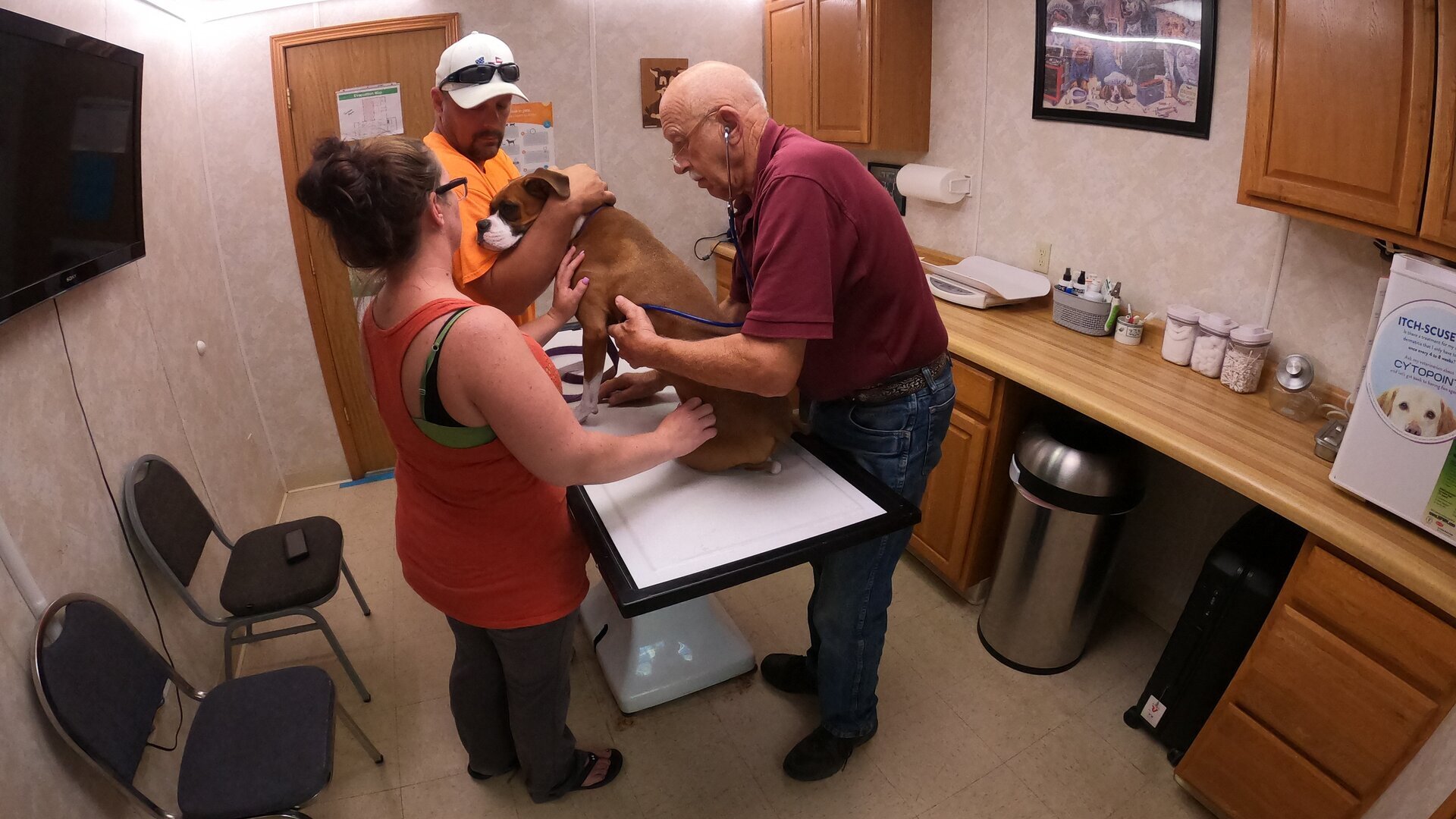 Vignette du programme télé L'incroyable Dr Pol