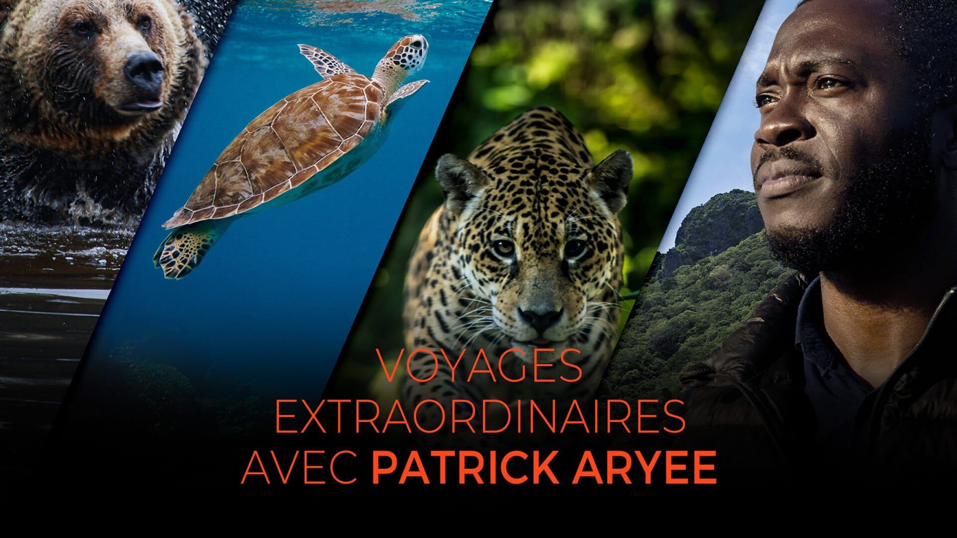 Vignette du programme télé Voyages extraordinaires avec Patrick Aryee