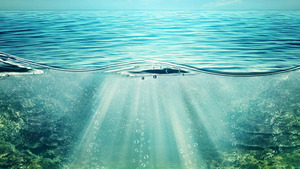 Vignette du programme télé P1 AquaX Championship - Season Review