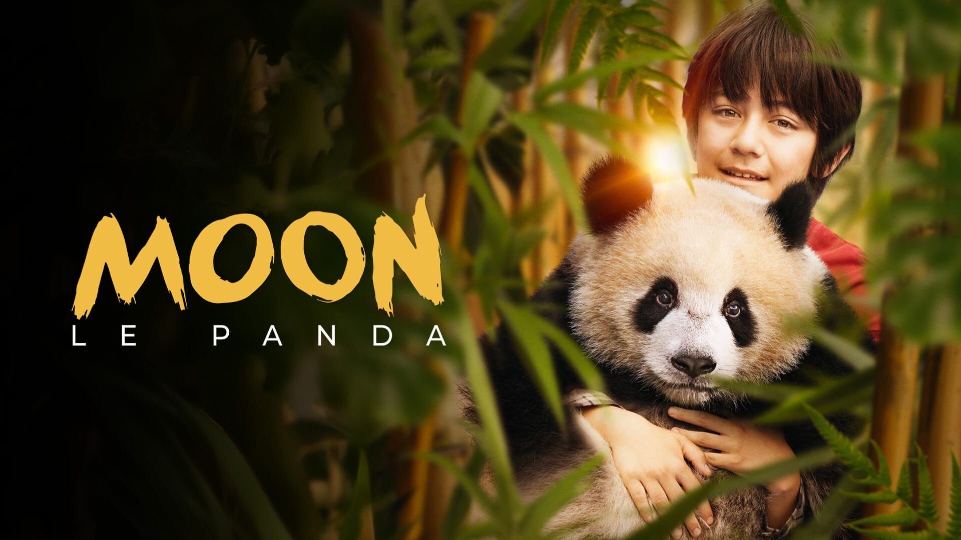 Vignette du programme télé Moon le panda