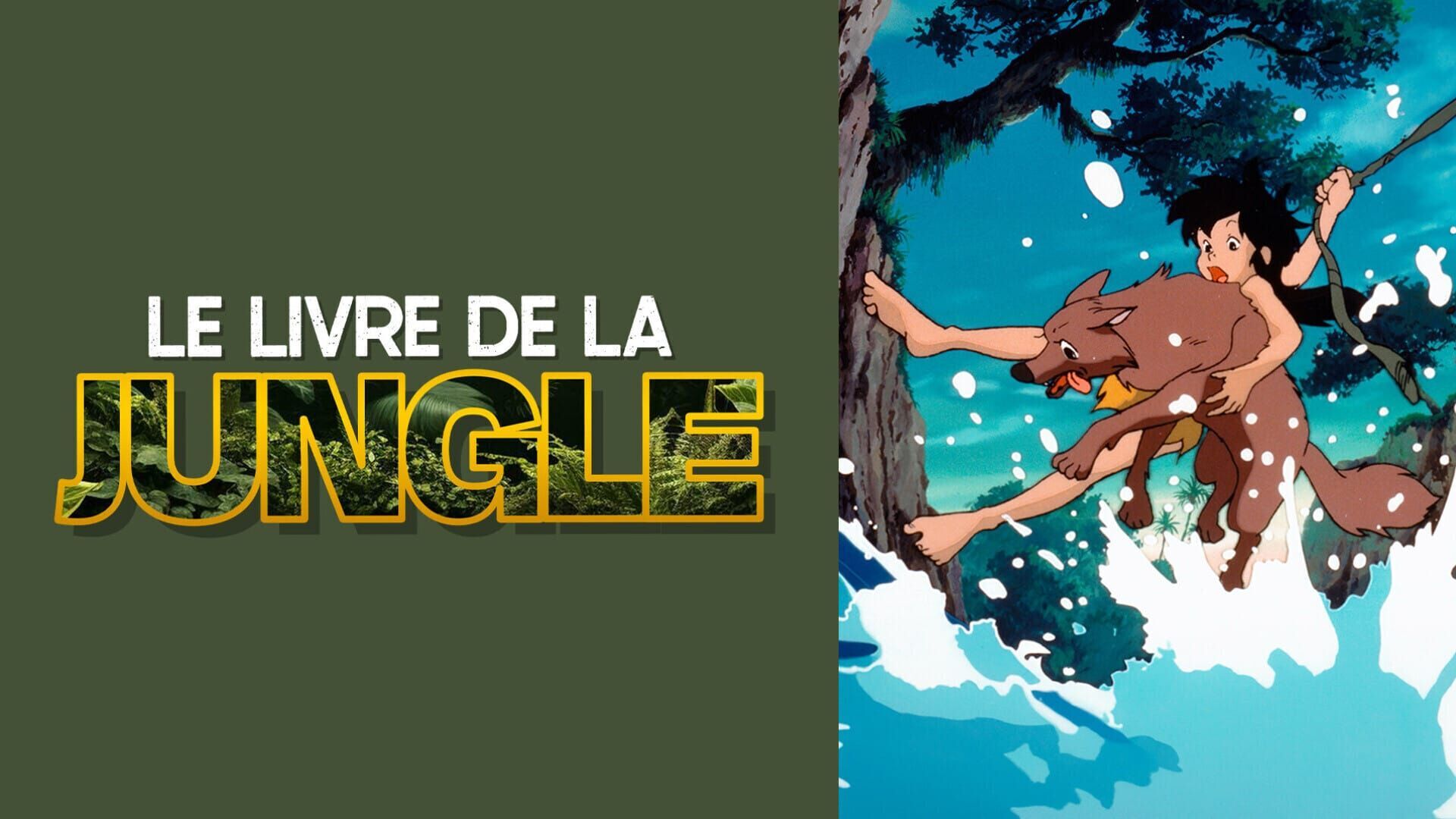 Vignette du programme télé Le livre de la jungle