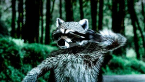 Vignette du programme télé Car History (The Story of Automotive Advertising, Part 3) S2 (8/27)