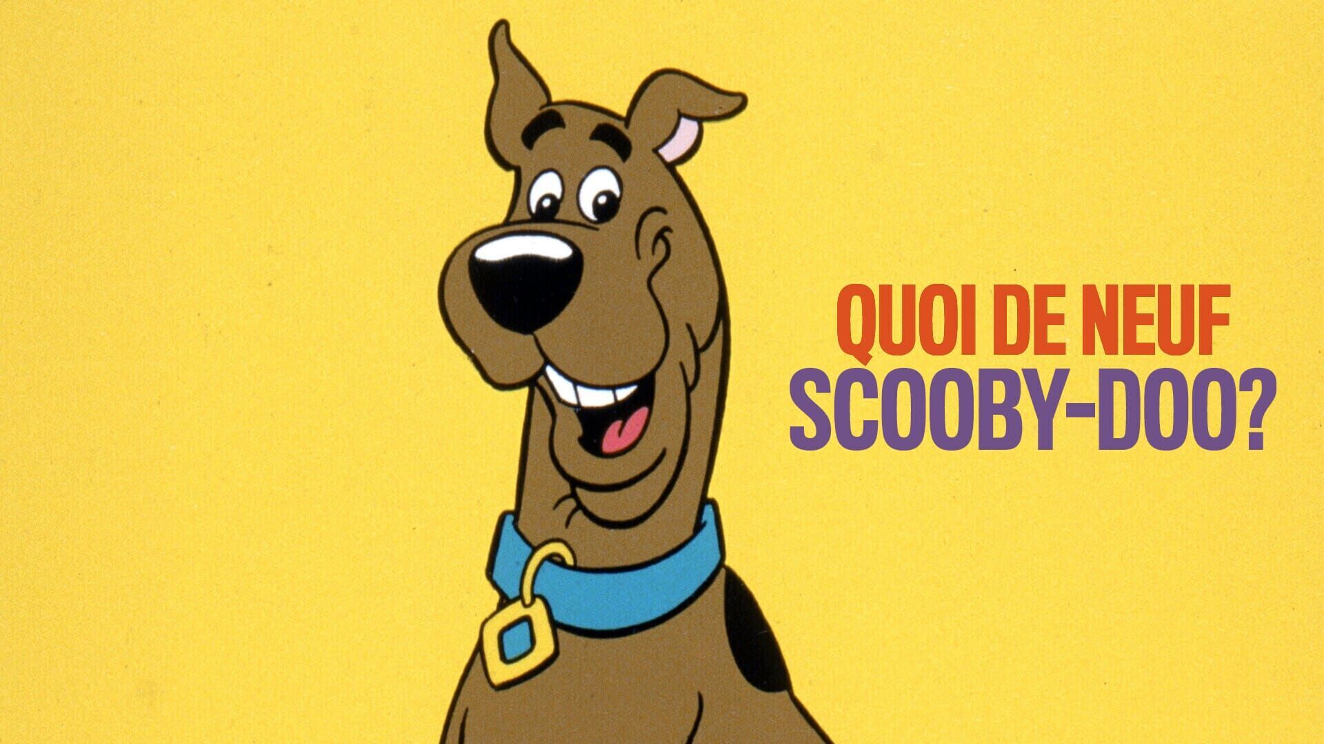 Vignette du programme télé Quoi de neuf, Scooby-Doo ?