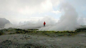 Vignette du programme télé Moscou : les chiens renifleurs d'explosifs (n°495)