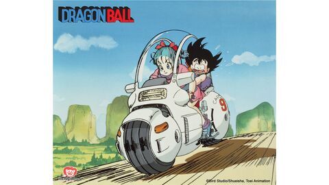 Vignette du programme télé Dragon Ball