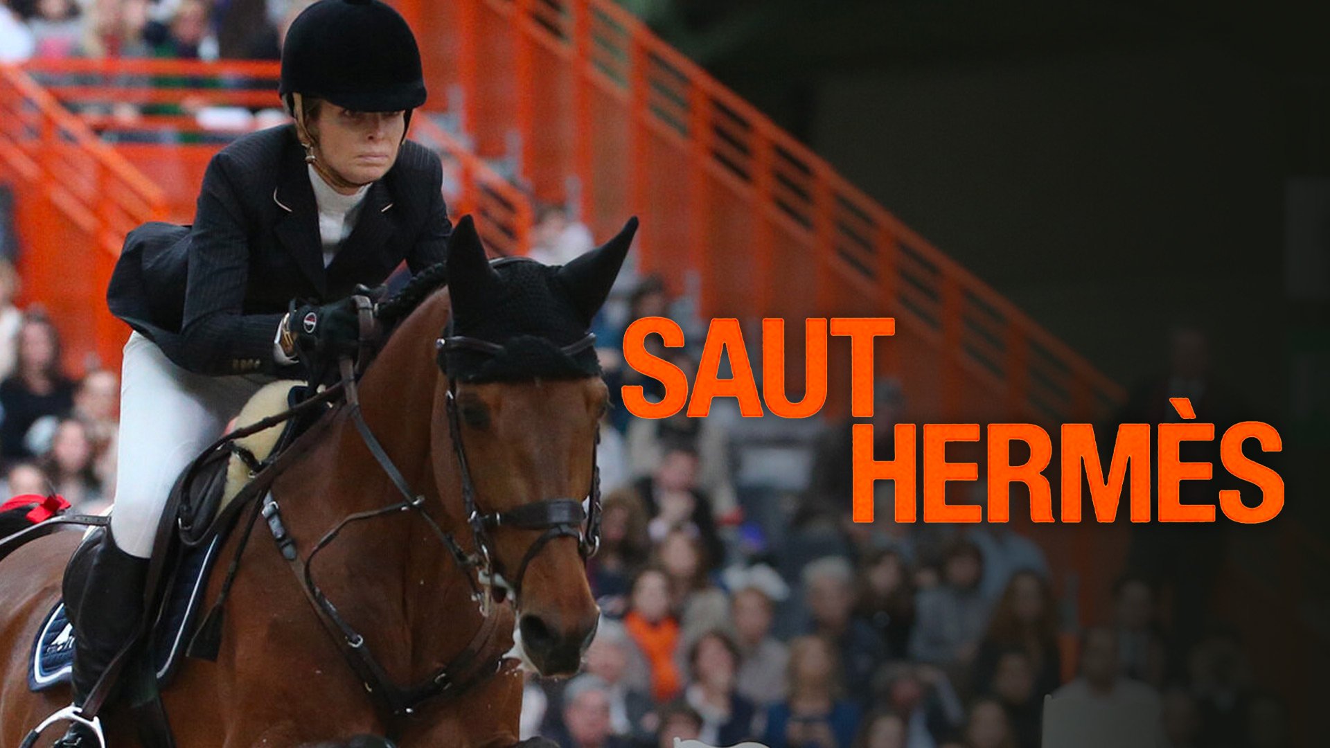 Vignette du programme télé Equitation : Saut Hermès
