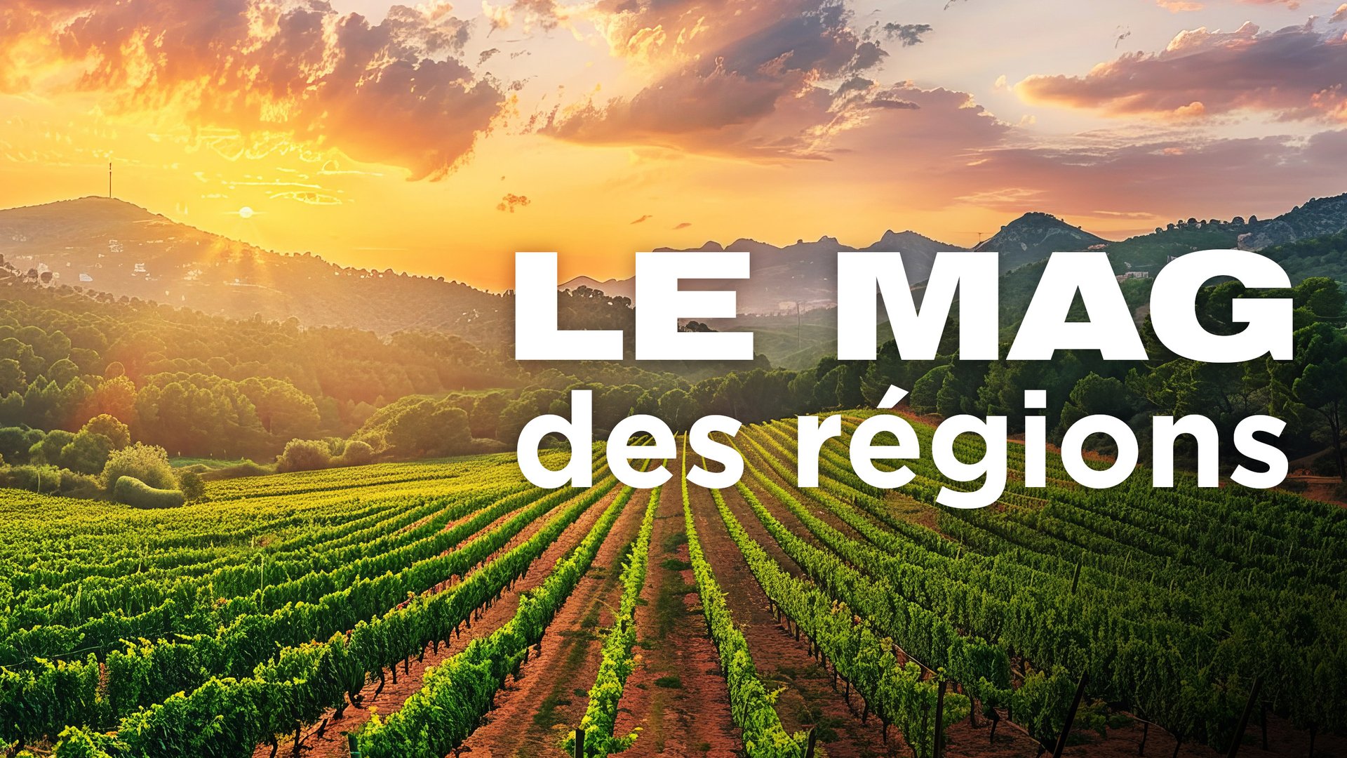 Vignette du programme télé Le Mag des régions