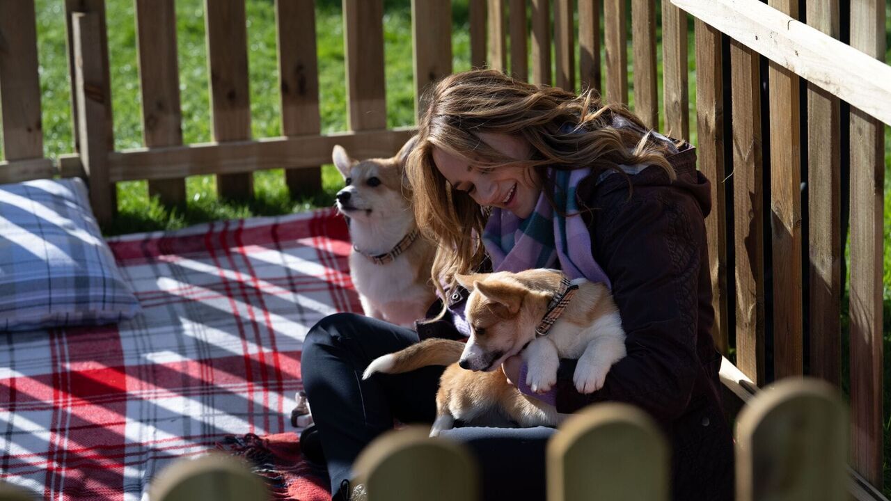 Vignette du programme télé Un cadeau royal pour Noël