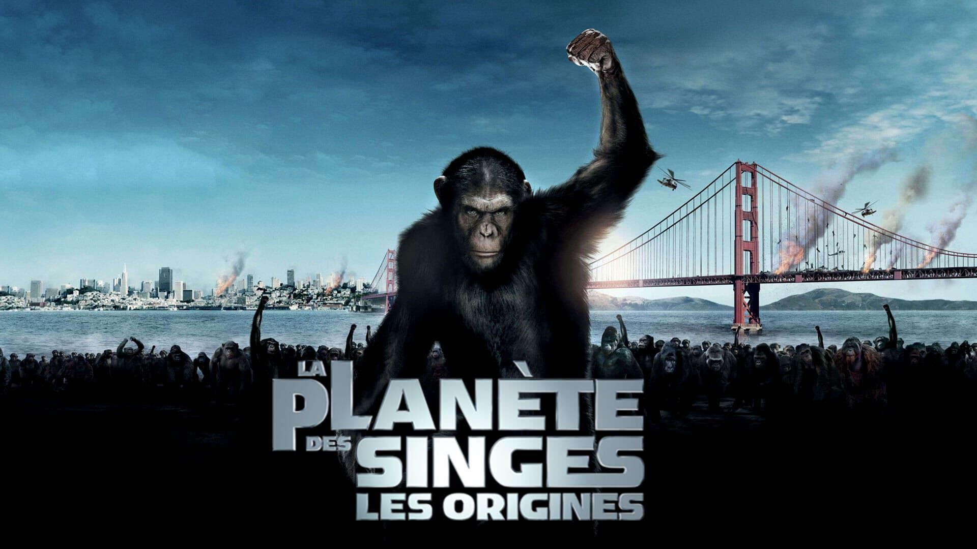 Vignette du programme télé La planète des singes : les origines